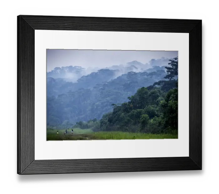 Framed Print : Local kichwa children walking in the forest during sunset, Sarayaku, Pastaza, Ecuador Framed Print : Local kichwa children walking in the forest during sunset, Sarayaku, Pastaza, Ecuador