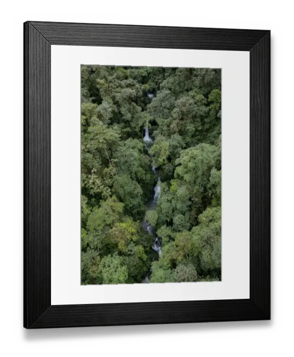 Framed Print : Waterfall inside a rainforest located in a transition between Choco and cloud forest