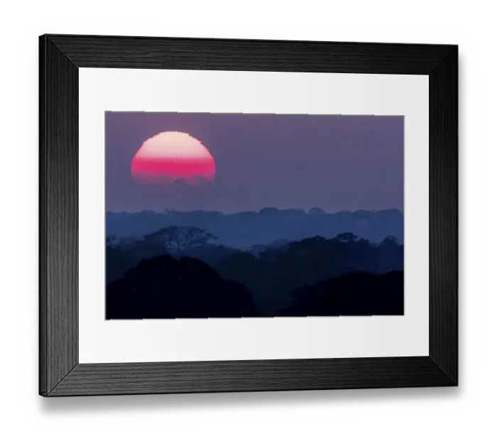 Framed Print : Sunset above the canopy in the Peruvian Amazon. Tambopata Reserve, Madre de Dios, Peru Framed Print : Sunset above the canopy in the Peruvian Amazon. Tambopata Reserve, Madre de Dios, Peru