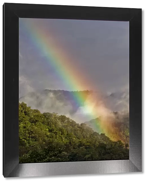 Rainbow over cloud forest, Cosanga, Napo, Ecuador, May 2014