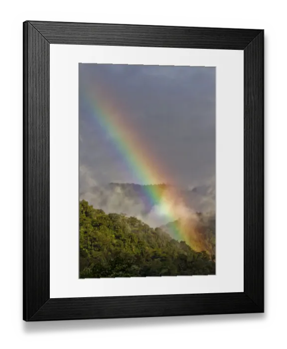 Framed Print : Rainbow over cloud forest, Cosanga, Napo, Ecuador, May 2014