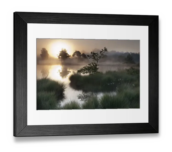 Framed Print : Sunrise over wetland in Klein Schietveld, heatland, Brasschaat, Belgium, April Framed Print : Sunrise over wetland in Klein Schietveld, heatland, Brasschaat, Belgium, April