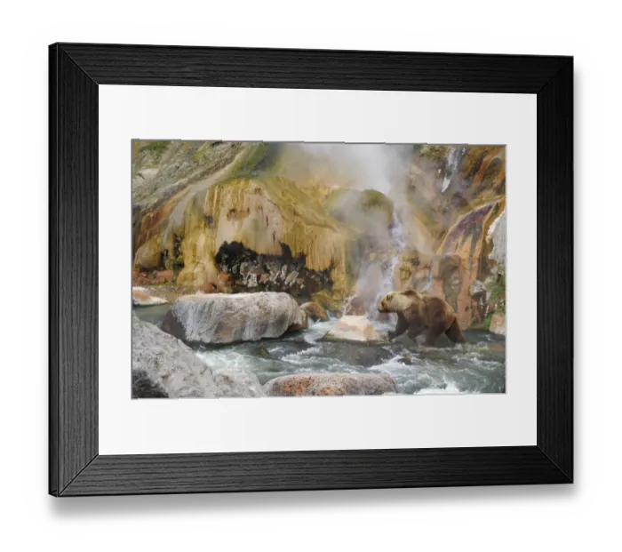 Framed Print : Kamchatka Brown Bear (Ursus arctos beringianus) by malachite (copper mineral) outcrop Framed Print : Kamchatka Brown Bear (Ursus arctos beringianus) by malachite (copper mineral) outcrop