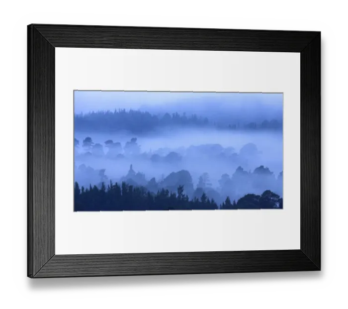 Framed Print : Early morning mist and silhouettes of ancient forest. Cairngorms, Scotland, April 2008 Framed Print : Early morning mist and silhouettes of ancient forest. Cairngorms, Scotland, April 2008