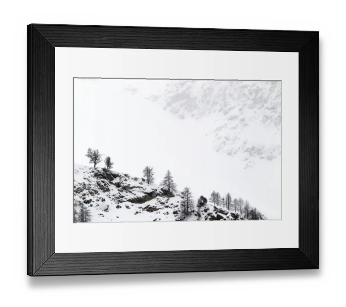 Framed Print : Snow covered mountain slopes with pine trees in Gran Paradiso National Park, Italy Framed Print : Snow covered mountain slopes with pine trees in Gran Paradiso National Park, Italy