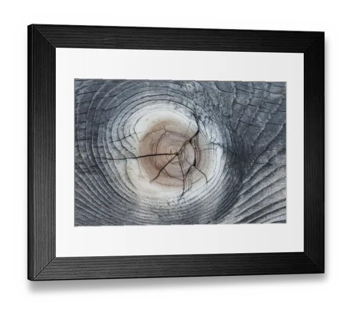 Framed Print : Wood patterns in Lodgepole pine (Pinus contorta) Yellowstone National Park, Wyoming Framed Print : Wood patterns in Lodgepole pine (Pinus contorta) Yellowstone National Park, Wyoming