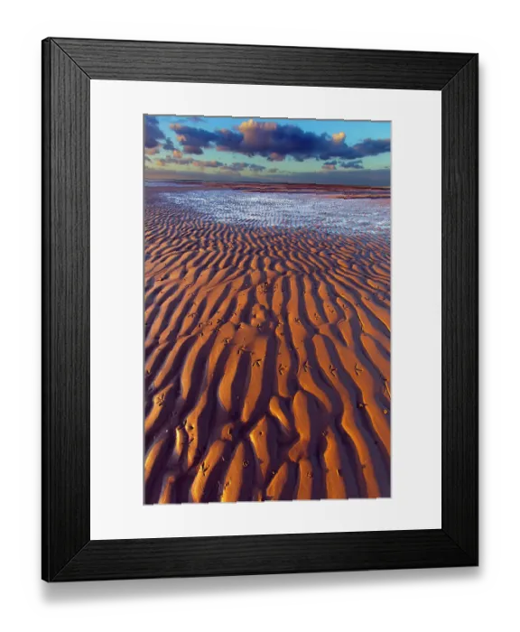 Framed Print : Oystercatcher (Haematopus ostralegus) footprints on sand at low tide, Norfolk, England, UK, November Framed Print : Oystercatcher (Haematopus ostralegus) footprints on sand at low tide, Norfolk, England, UK, November