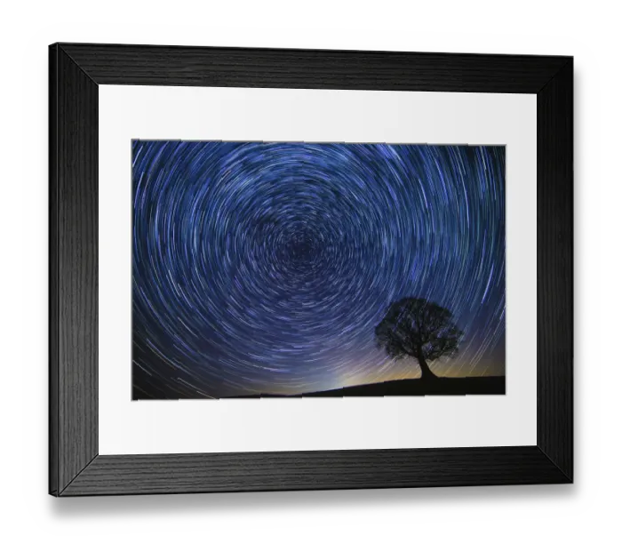 Framed Print : English oak tree (Quercus robur) at night with circle of star trails, Brecon Beacons Wales, UK