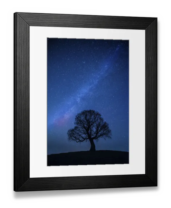 Framed Print : Oak tree (Quercus robur) silhouetted against night sky with stars, Brecon Beacons National Park Framed Print : Oak tree (Quercus robur) silhouetted against night sky with stars, Brecon Beacons National Park