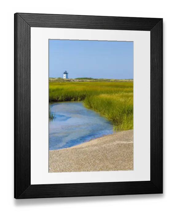 Framed Print : Salt marsh cord grass (Spartina alterniflora) on shore of Cape Cod, with Long Point Framed Print : Salt marsh cord grass (Spartina alterniflora) on shore of Cape Cod, with Long Point