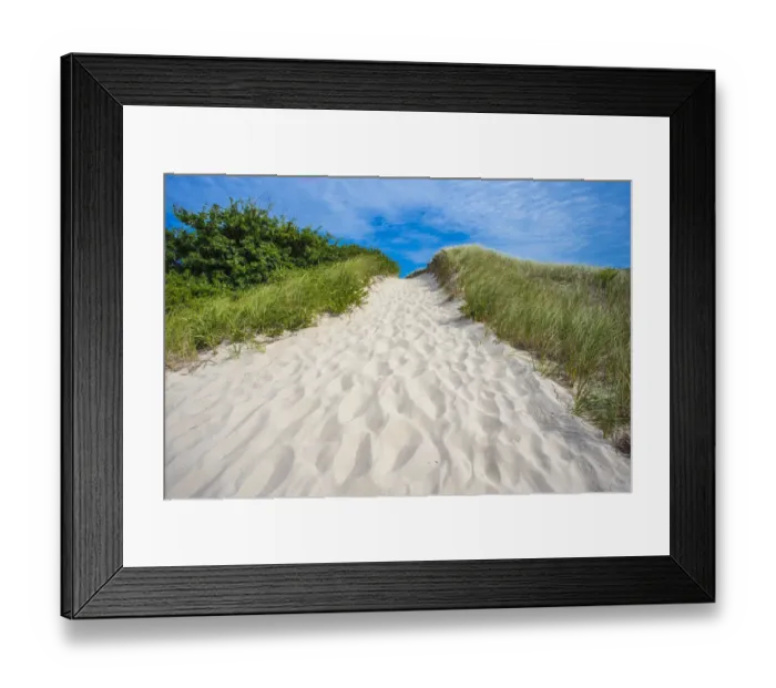 Framed Print : Salt marsh hay (Spartina patens) on beach, Cape Cod National Seashore, Massachusetts Framed Print : Salt marsh hay (Spartina patens) on beach, Cape Cod National Seashore, Massachusetts