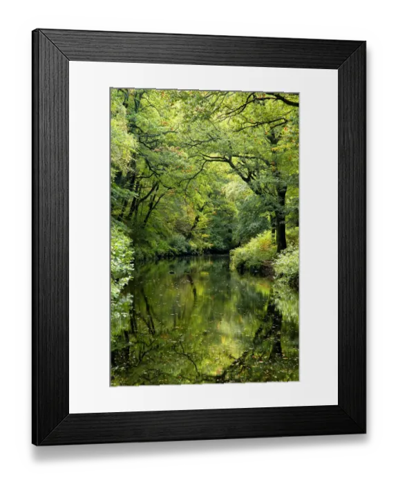 Framed Print : Summer trees reflected in River Teign, Fingle woods, Dartmoor NP, Devon, UK Framed Print : Summer trees reflected in River Teign, Fingle woods, Dartmoor NP, Devon, UK