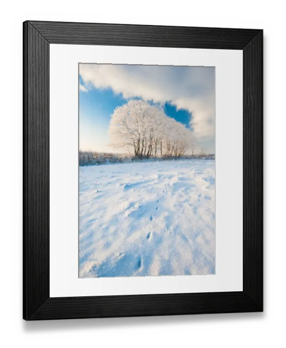 Framed Print : Field gateway in snow, late evening light, nr Bradworthy, Devon, Uk. December 2010 Framed Print : Field gateway in snow, late evening light, nr Bradworthy, Devon, Uk. December 2010