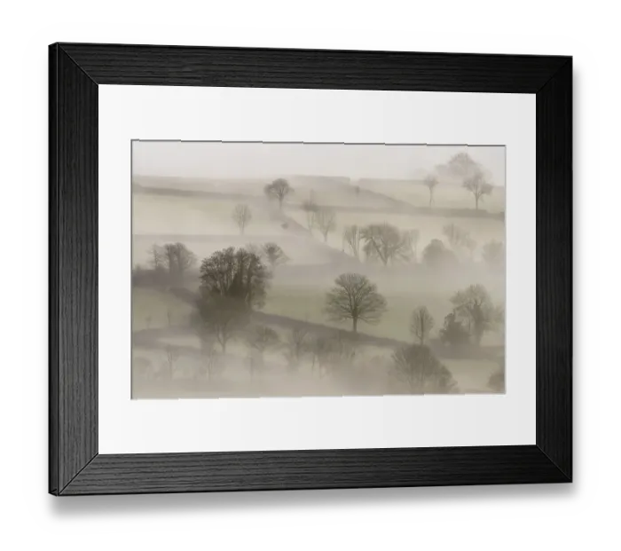 Framed Print : Morning mist and trees. Near Tavistock, Dartmoor National Park, Devon, UK, February 2011 Framed Print : Morning mist and trees. Near Tavistock, Dartmoor National Park, Devon, UK, February 2011