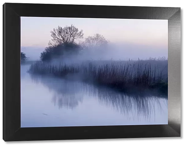 River Stour with early morning mist and frost, near Wimborne Minster, Dorset, UK. April 2012