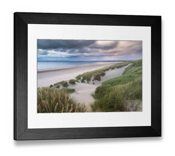 Framed Print : Marram grass and sand dunes, Harlech, Wales, UK, September 2013 Framed Print : Marram grass and sand dunes, Harlech, Wales, UK, September 2013