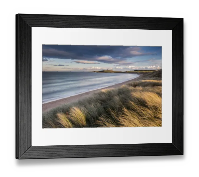 Framed Print : Marram grass and sand dunes at Embleton Bay looking toward Dunstanburgh Castle, Embleton Framed Print : Marram grass and sand dunes at Embleton Bay looking toward Dunstanburgh Castle, Embleton