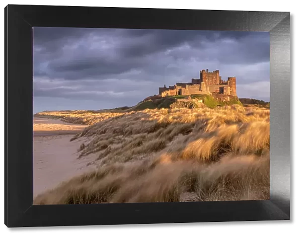 Bamburgh Castle and sand dunes in warm, late evening light with stormy evening sky