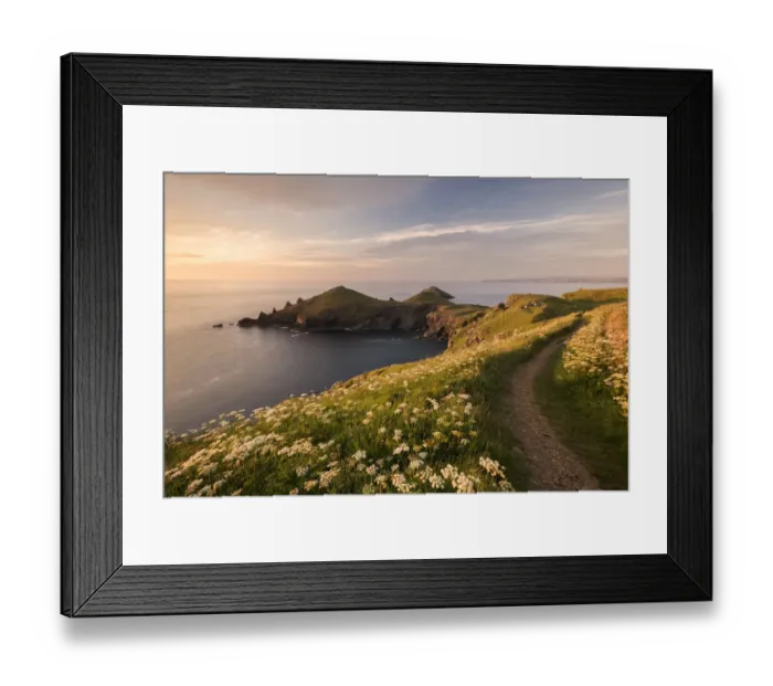Framed Print : View towards The Rumps at sunset, with Umbellifers (Apiaceae) Pentire Head at sunset Framed Print : View towards The Rumps at sunset, with Umbellifers (Apiaceae) Pentire Head at sunset