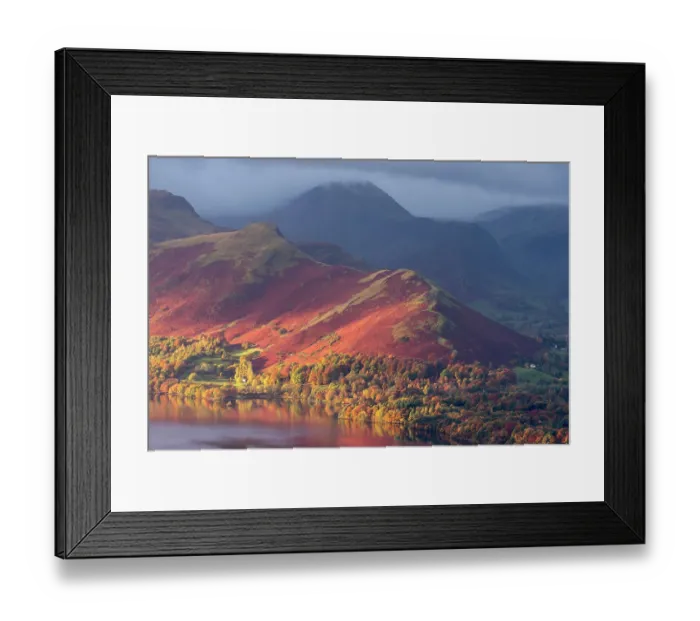 Framed Print : Catbells and the edge of Derwentwater bathed in early morning light and autumnal colours, Latrigg, Keswick, The Lake District, Cumbria, UK. November 2016 Framed Print : Catbells and the edge of Derwentwater bathed in early morning light and autumnal colours, Latrigg, Keswick, The Lake District, Cumbria, UK. November 2016