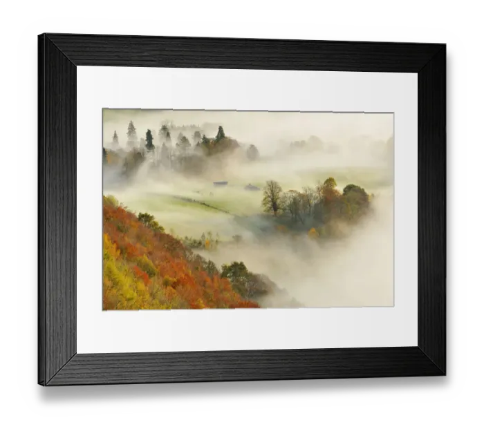 Framed Print : A misty morning over a mixed woodland in autumn, Kinnoull Hill Woodland Park Framed Print : A misty morning over a mixed woodland in autumn, Kinnoull Hill Woodland Park