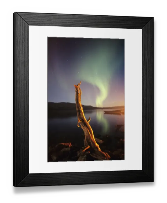 Framed Print : Aurora Borealis over lake, with wooden stump in Laponia, Muddus NP, Sweden Framed Print : Aurora Borealis over lake, with wooden stump in Laponia, Muddus NP, Sweden
