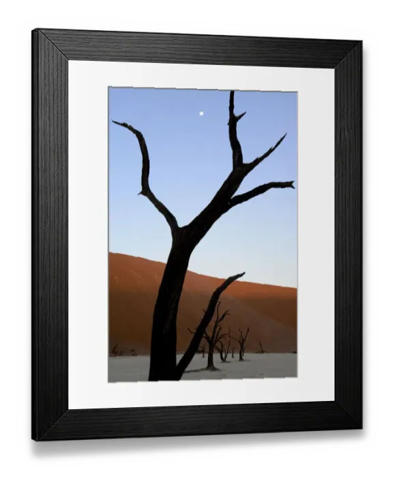 Framed Print : Dead trees in Deadvlei clay pan, Sossusvlei. Namib-Naukluft National Park, Namibia Framed Print : Dead trees in Deadvlei clay pan, Sossusvlei. Namib-Naukluft National Park, Namibia