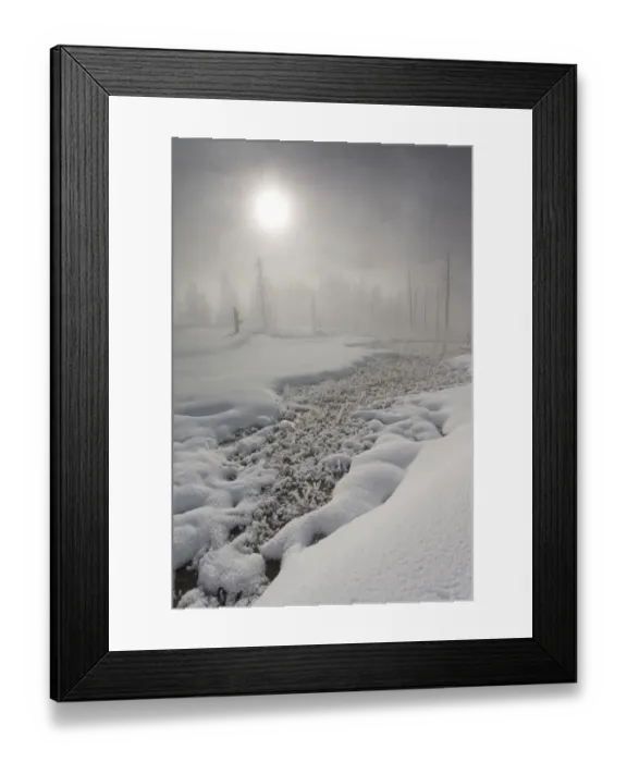 Framed Print : Calcified trees at Tangled Creek in winter, Yellowstone National Park, Wyoming, USA Framed Print : Calcified trees at Tangled Creek in winter, Yellowstone National Park, Wyoming, USA
