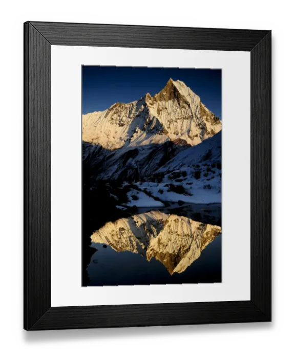 Framed Print : Mount Machapuchare( 6997m) at sunset. Annapurna Himal, Annapurna Sanctuary, central Nepal Framed Print : Mount Machapuchare( 6997m) at sunset. Annapurna Himal, Annapurna Sanctuary, central Nepal