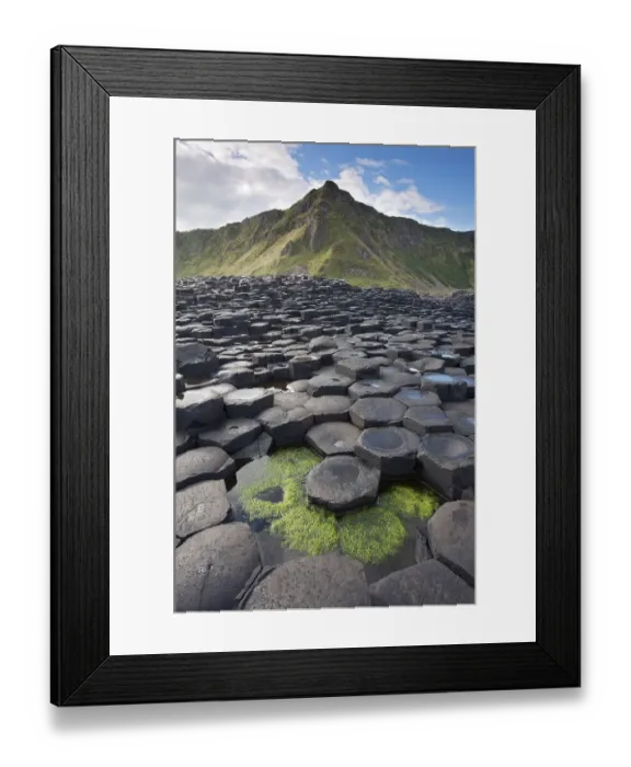 Framed Print : Giants Causeway, looking in to land, Causeway coast, Antrim county, Northern Ireland Framed Print : Giants Causeway, looking in to land, Causeway coast, Antrim county, Northern Ireland