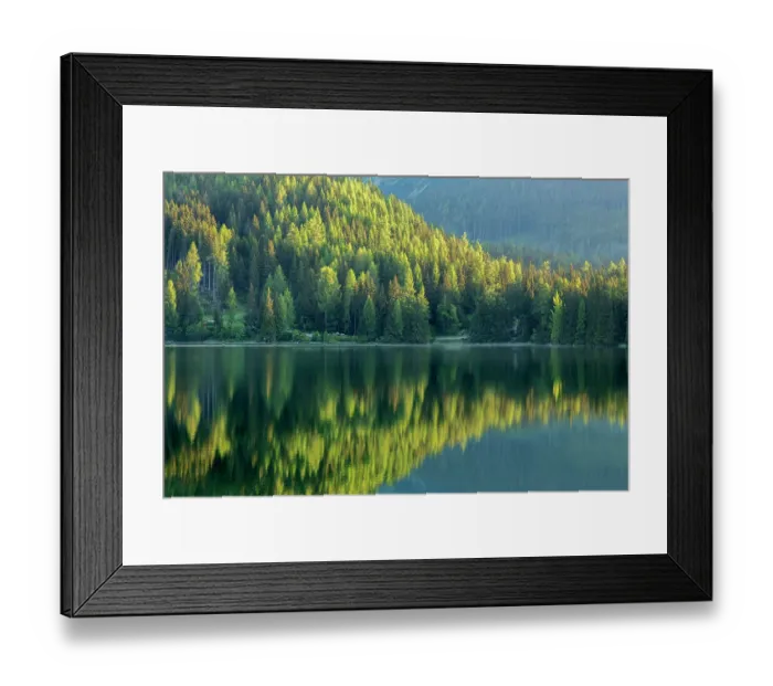Framed Print : Conifers reflected in water, Strbske Pleso, Tatra Mountains, Slovakia, June 2013 Framed Print : Conifers reflected in water, Strbske Pleso, Tatra Mountains, Slovakia, June 2013
