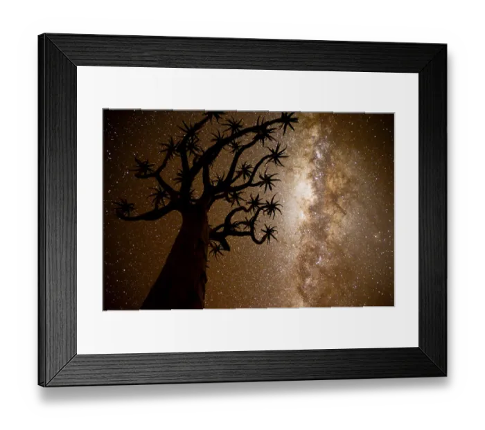 Framed Print : Kokerboom or Quiver Tree (Aloe dichotoma) at night with starry sky, Kalahari, Namibia Framed Print : Kokerboom or Quiver Tree (Aloe dichotoma) at night with starry sky, Kalahari, Namibia