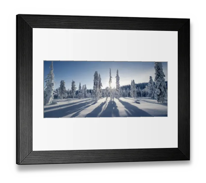 Framed Print : Long shadows cast by snow covered conifer trees, Kuusamo, Finland. February 2011 Framed Print : Long shadows cast by snow covered conifer trees, Kuusamo, Finland. February 2011