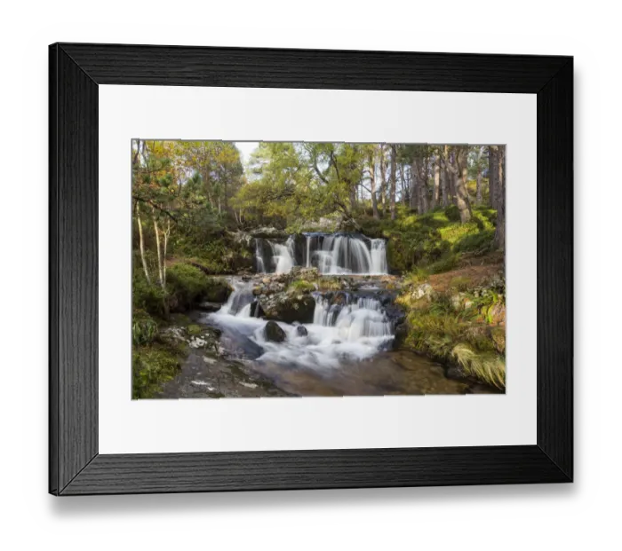 Framed Print : Alt Ruadh river flowing through woodland, Glenfeshie, Cairngorms National Park, Scotland Framed Print : Alt Ruadh river flowing through woodland, Glenfeshie, Cairngorms National Park, Scotland