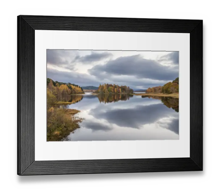 Framed Print : Autumn colours and stormy clouds reflected in the calm waters of Loch Insh, Cairngorms Framed Print : Autumn colours and stormy clouds reflected in the calm waters of Loch Insh, Cairngorms