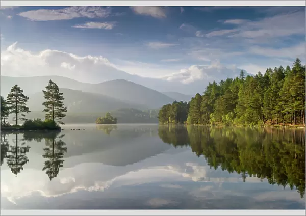 Loch an Eilein with wooded edges in morning sun, Cairngorms National Park, Scotland