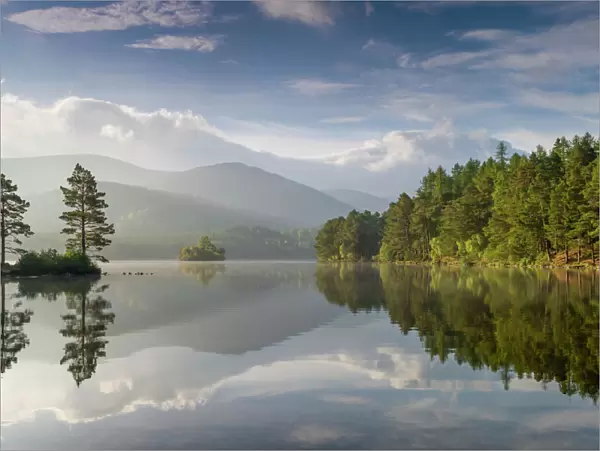 Loch an Eilein with wooded edges in morning sun, Cairngorms National Park, Scotland