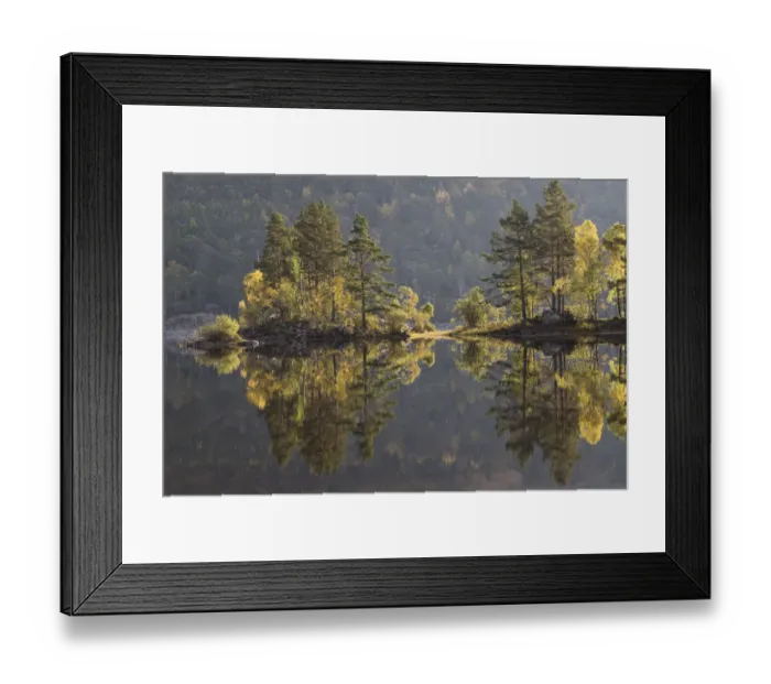 Framed Print : Reflections of trees in Loch Beinn a Mheadhoin, Glen Affric, Highlands, Scotland, UK, October 2015 Framed Print : Reflections of trees in Loch Beinn a Mheadhoin, Glen Affric, Highlands, Scotland, UK, October 2015