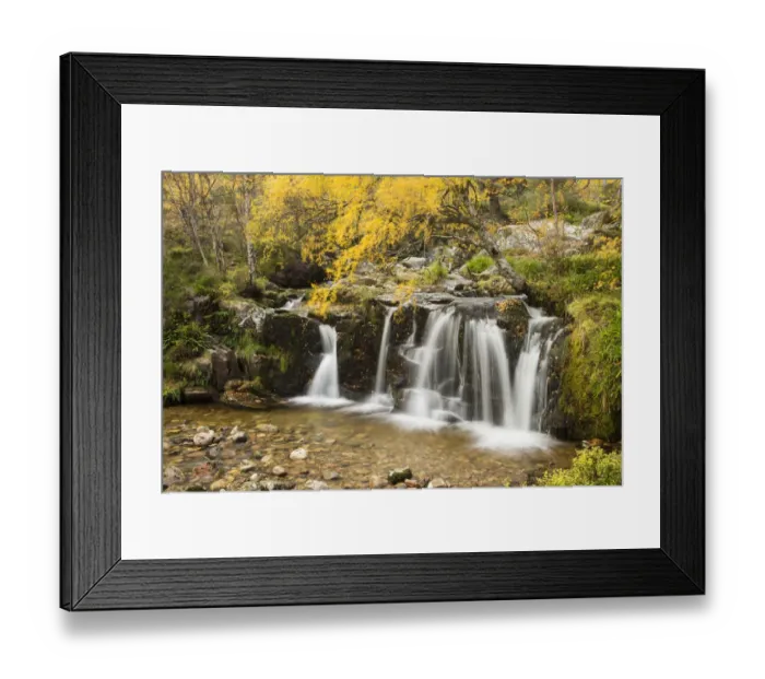 Framed Print : Waterfall on wooded hillside in autumn, Glenfeshie, Cairngorms National Park, Scotland Framed Print : Waterfall on wooded hillside in autumn, Glenfeshie, Cairngorms National Park, Scotland