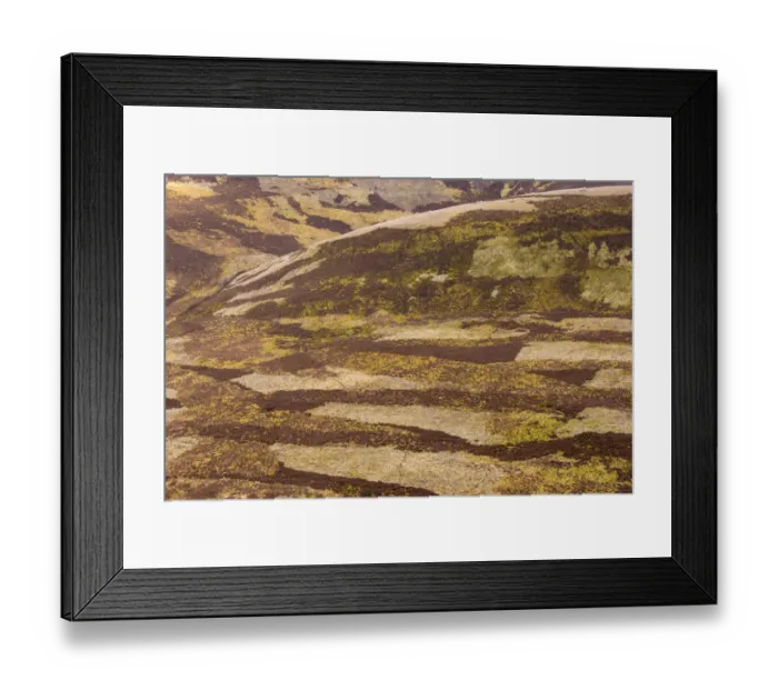 Framed Print : Patchwork of upland heather moorland on grouse shooting estate, northern Scotland Framed Print : Patchwork of upland heather moorland on grouse shooting estate, northern Scotland
