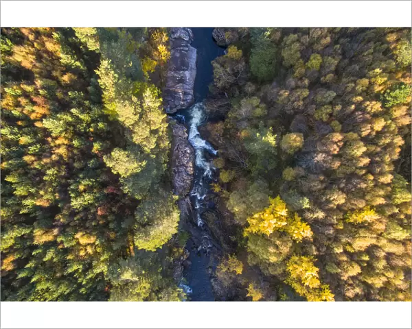 Falls of Truim running through autumnal woodland, Cairngorms National Park, Scotland