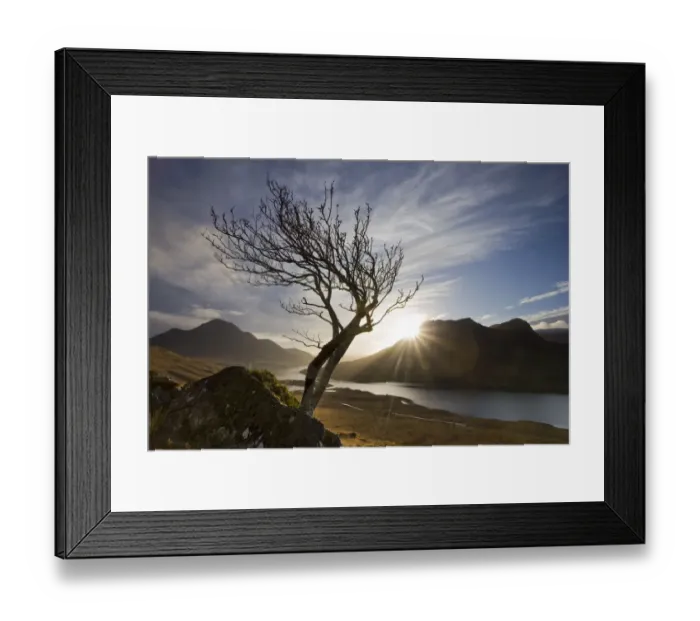 Framed Print : Rowan tree silhouetted above Loch Lurgainn with Cul Mor (left) and Ben More Coigach beyond Framed Print : Rowan tree silhouetted above Loch Lurgainn with Cul Mor (left) and Ben More Coigach beyond