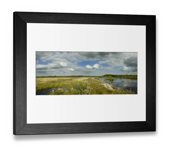 Framed Print : Panoramic view of Ballynahone Bog at dawn, County Antrim, Northern Ireland, UK Framed Print : Panoramic view of Ballynahone Bog at dawn, County Antrim, Northern Ireland, UK