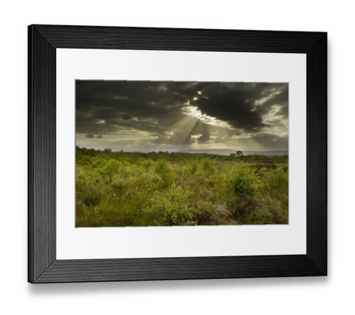 Framed Print : Suns rays shining through dark clouds, Ballynahone Bog, County Antrim, Northern Ireland Framed Print : Suns rays shining through dark clouds, Ballynahone Bog, County Antrim, Northern Ireland