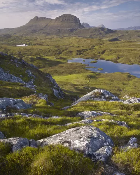 Bog wetlands with Suilven mountain in the background at dawn, Assynt mountains, Highland