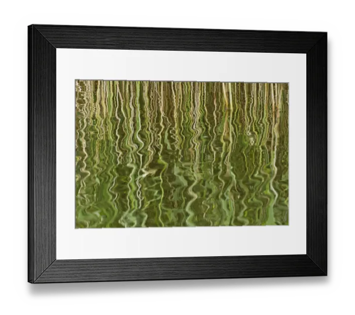 Framed Print : Abstract reflection of reeds in rippled water, Westhay Moor SWT reserve, Somerset Levels Framed Print : Abstract reflection of reeds in rippled water, Westhay Moor SWT reserve, Somerset Levels