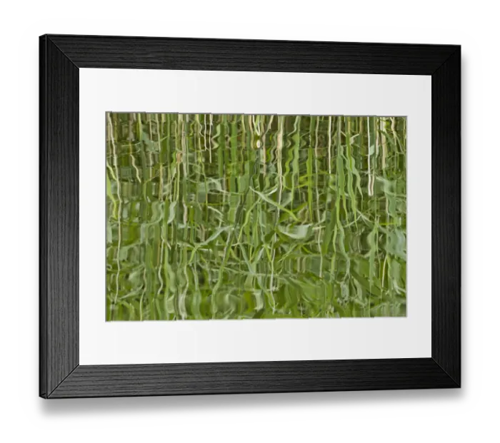Framed Print : Abstract reflection of reeds in rippled water, Westhay Moor SWT reserve, Somerset Levels Framed Print : Abstract reflection of reeds in rippled water, Westhay Moor SWT reserve, Somerset Levels