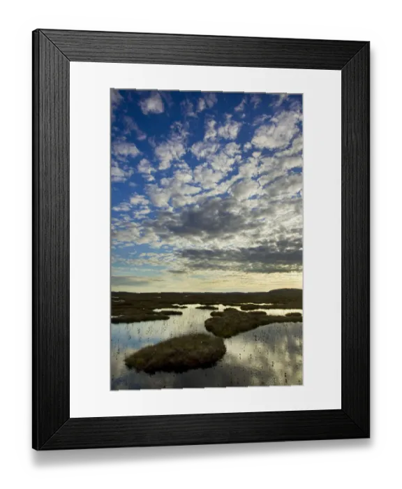 Framed Print : Pool system on peat bog at dawn, Forsinard Flows RSPB reserve, Flow Country, Sutherland Framed Print : Pool system on peat bog at dawn, Forsinard Flows RSPB reserve, Flow Country, Sutherland