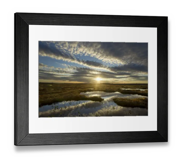 Framed Print : Pool system on peat bog at dawn, Forsinard Flows RSPB reserve, Flow Country, Sutherland Framed Print : Pool system on peat bog at dawn, Forsinard Flows RSPB reserve, Flow Country, Sutherland