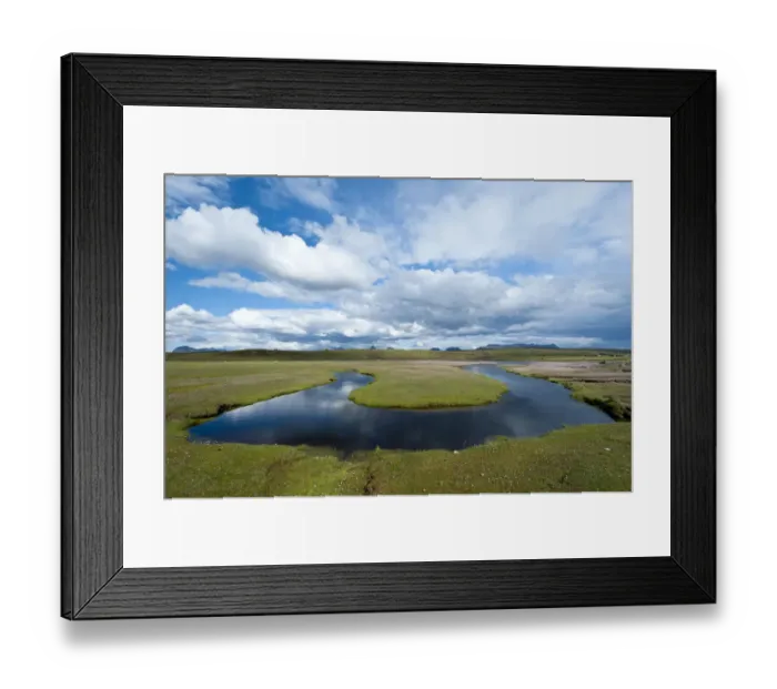 Framed Print : Thrift (Armeria maritima) flowering on saltmarsh at the south end of Achnahaird Bay Framed Print : Thrift (Armeria maritima) flowering on saltmarsh at the south end of Achnahaird Bay